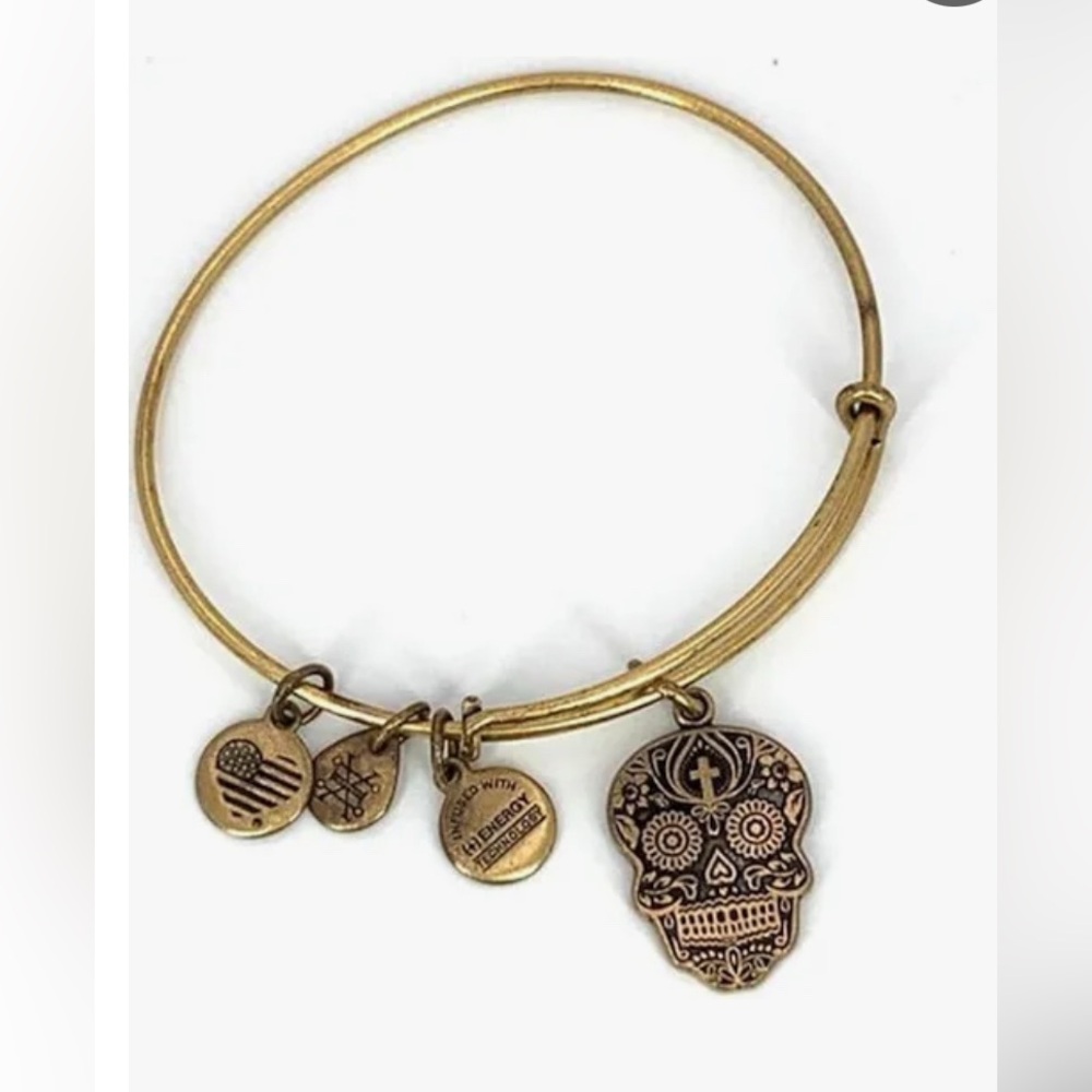 Alex and Ani Calavera Sugar Skull Charm Bangle Bracelet